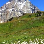 Chamois: il villaggio senza auto dove la montagna è ancora reale