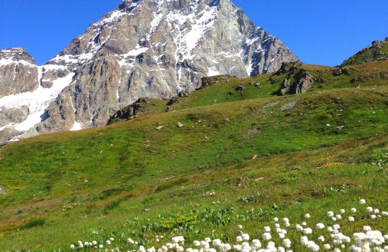 Chamois: the car-free Village where the mountains are Still Real