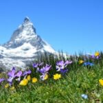 Vacanze estive in montagna