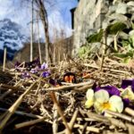 Easter in the Mountains